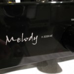 Melody H300B-WE　　WE300B single integrated stereo amplifier