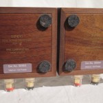 SPEC RSP-101 real sound processor (pair)