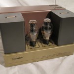 UESUGI U.Bros 21 tube monaural power amplifiers (pair)