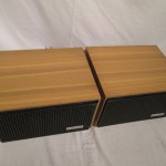 REMA andante full-range speakers (pair)