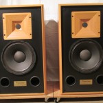 Electro Vioce SENTRY 500EX 2way speaker systems (pair)