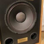 Electro Vioce SENTRY 500EX 2way speaker systems (pair)