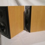 RIT RIT-HE07 2way speaker systems (pair)