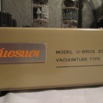 UESUGI U.bros-300 tube monaural power amplifiers (pair)