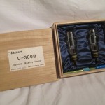 UESUGI U.bros-300 tube monaural power amplifiers (pair)