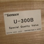 UESUGI U.bros-300 tube monaural power amplifiers (pair)