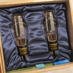 UESUGI U.bros-300 tube monaural power amplifiers (pair)