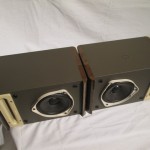 BOSE 121 full range speaker system (pair)