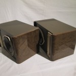 BOSE 121 full range speaker system (pair)