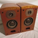 DIATONE DS-A5 2way speaker (pair)