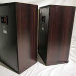 DIATONE DS-1000HR 3way speaker system (pair)