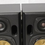 FOSTEX NF-01A 2way powored speaker shystem (pair)