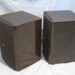 BOSE 121V full-range speaker (pair)