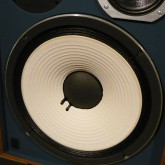 12inch white corn も良い状態が保たれています。