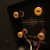 バインディングポストは LF・HF ともに WBT 製(WBT-0730)に交換されています。多容量線材、Y-lug、banana端子にも対応します。