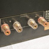 SPケーブルターミナルも大型金メッキタイプに交換されています。