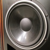 40cm WF も良好なコンディションです。