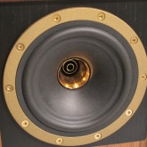振動板のコンディションは最良です。