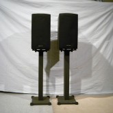 celestion 当時の最高峰モデル。コンパクトでありながら非常に広い音場感を表現します。