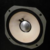 こちらのユニットにはセンタードームに多少のダメージと、湿度によるコーン紙の変形がありますが動作には問題ありません。