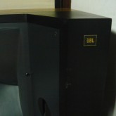 傷などの拡大写真です。(Rch)