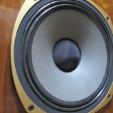 [3809] 15inch 同軸ユニットは先代 3808 よりも低域を引き締めています。