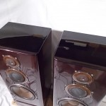 DIATONE DS-20000 + DK-20000 3way speaker system (pair)