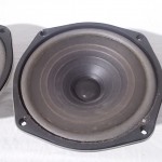 DIATONE P-610FA full-range transduser (pair) #1しん