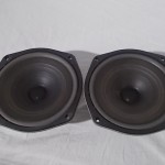 DIATONE P-610FA full-range transduser (pair) #2