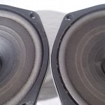 DIATONE P-610FA full-range transduser (pair) #2