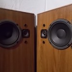 BOSE 401T 2way 3speaker system (pair)