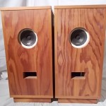 DIATONE P-610A + enclosure (pair)