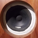 DIATONE P-610A + enclosure (pair)