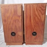 DIATONE P-610A + enclosure (pair)