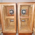 DIATONE P-610A + enclosure (pair)