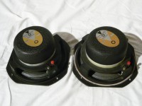 マグネットは Alnico-V 。アルニコならではの密度感の高い芳醇な音色が楽しめます。