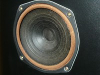 ユニットの拡大写真です。１本はセンタードームにダメージがあります。